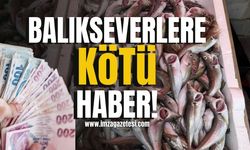 Balıkseverlere kötü haber!