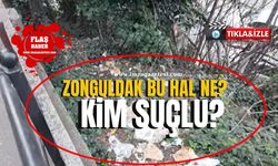 Zonguldak bu hal ne? Kim suçlu? Zonguldak, bu rezilliğe son vermeli!