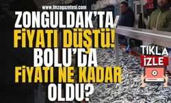 Zonguldak'ta hamsi fiyatı düştü! Bolu'da tezgahta yerini koruyan hamsinin fiyatı ne kadar oldu? | Bolu Haberleri