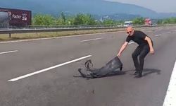 Duyarlı vatandaş canını hiçe saydı