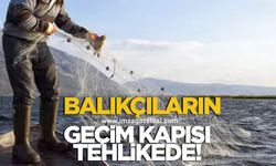 ALAPLI LİMANI'NDA MÜHENDİSLİK SKANDALI: BALIKÇILARIN GEÇİM KAPISI TEHLİKEDE