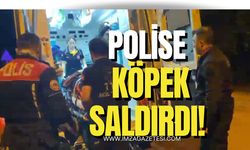 Polislere köpek saldırısı! Polisler yaralandı!