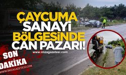 Çaycuma Sanayi bölgesinde can pazarı!