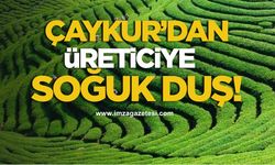 ÇAYKUR’dan Üreticiye Soğuk Duş!