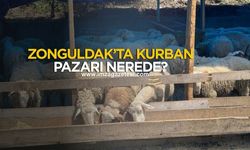 Zonguldak'ta kurban pazarı nerede?