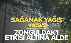 Sağanak yağış ve sis Zonguldak'ı etkisi altına aldı