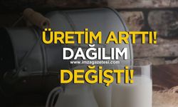 Süt Sektöründen Güçlü Sinyal... Üretim Arttı, Dağılım Değişti!