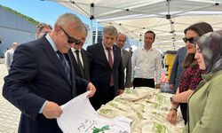 Zonguldak'ta çevreye umut olan etkinlik...