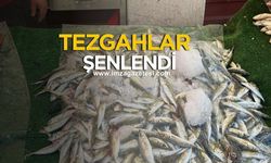 Zonguldak’ta Tezgahlar Balıkla Şenlendi...