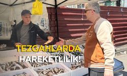Zonguldak'ta balık tezgahlarında hareketlilik!