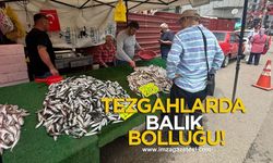 Zonguldak’ta Tezgahlarda Balık Bolluğu!