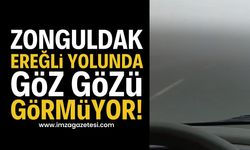 Zonguldak-Ereğli Yolunda Yoğun Sis Etkili Oluyor
