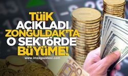TÜİK açıkladı! Zonguldak'ta o sektörde büyüme devam ediyor!