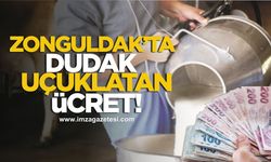 Zonguldak’ta süt üreticilerine dudak uçuklatan ücret!