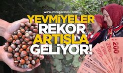 Fındık Yevmiyeleri Rekor Artışla Geliyor!