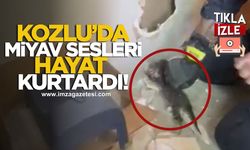 Kozlu'da Miyav Sesleri Hayat Kurtardı!