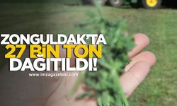 Zonguldak’ta 27 bin ton dağıtıldı!