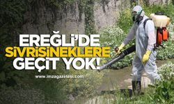 Ereğli Belediyesi Sivrisineklere Geçit Vermiyor!