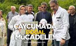 Çaycuma’da zararlı gal arısına karşı mücadele başlatıldı!