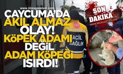 Çaycuma'da akıl almaz olay! Köpek adamı değil, adam köpeği ısırdı!