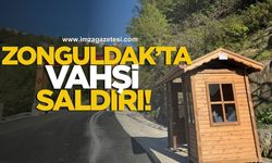 Zonguldak'ta vahşi saldırı! Camlar kırıldı, ateş yakıldı!
