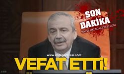 Sırrı Süreyya Önder vefat etti!