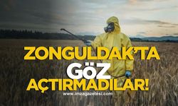 Zonguldak’ta pestisit denetiminde göz açtırmadılar!