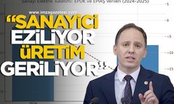 Deniz Yavuzyılmaz: “Sanayici enerji maliyetleri altında eziliyor, üretim geriliyor”