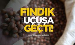 Fındık fiyatları uçuşa geçti!