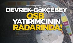 Devrek-Gökçebey OSB, Yatırımcıların Radarında!