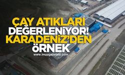 Çay atıkları değerleniyor! Karadeniz'de örnek tesis...