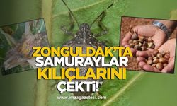 Zonguldak’ta samuraylar kılıçlarını çekti!