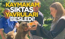 Gökçebey Kaymakamı Ruveyda Kahraman Şıktaş, Yavru Ayıları Eleriyle Besledi...