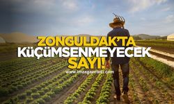 Zonguldak’ta küçümsenmeyecek kayıtlı çiftçi sayısı!