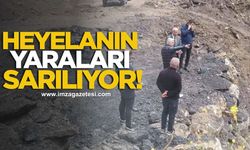 Heyelanın Yaraları Sarılıyor! Başkan Karaveli Sahada İncelemede Bulundu