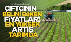 Çiftçinin Belini Büken Fiyatlar! En Yüksek Artış Tarımda