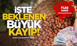 İşte fındıkta beklenen büyük kayıp!