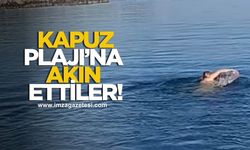 Kapuz Plajı'nda sezon açıldı!