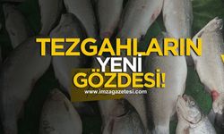 Zonguldak'ta tezgahların yeni gözdesi!
