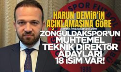 Zonguldakspor'un yeni teknik direktörü kim olacak? İşte Harun Demir'in açıkladığı kriterlere uygun teknik direktörler