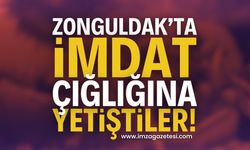 Zonguldak'ta İmdat Çığlığına Yetiştiler | Zonguldak haber