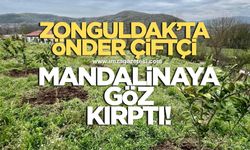 Zonguldak’taki önder çiftçi mandalinaya göz kırptı!