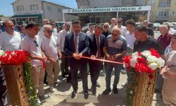Zonguldak'ın ilçesinde OSGB firması hizmete girdi!