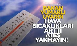 Bakan Yumaklı uyardı! Hava sıcaklıkları arttı ateş yakmayın