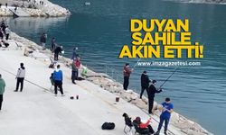 Haberini Duymayan Kalmadı, Sahile Akın Ettiler!