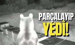 Komşuda ayılar parçalayıp yedi!