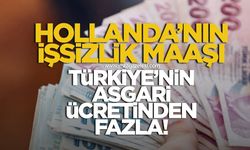 Hollanda’nın işsizi Türkiye’nin asgari ücretlisinden daha çok kazanıyor