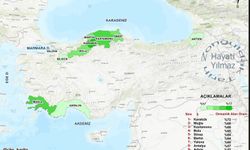 Karabük Zirvede, Zonguldak Listede Geride Kaldı!