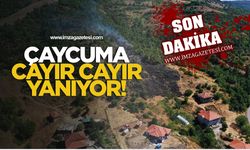 Çaycuma cayır cayır yanıyor! Dumanlar görüntülendi