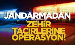 Jandarmadan zehir tacirlerine operasyon